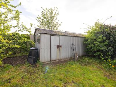 Picture 25